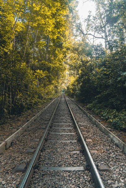 Evening sunset light with railway tracks in the forest in Lawachara national park in Bangladesh - Zdjęcie, obraz