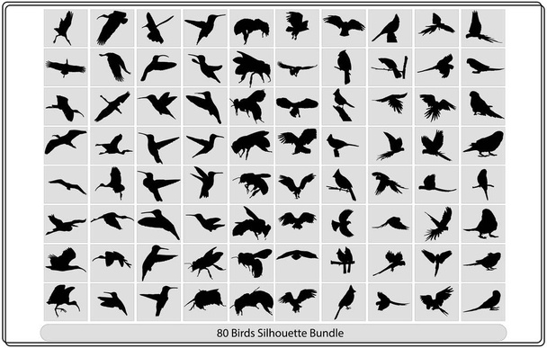 Fliegende Vögel Silhouetten auf weißem Hintergrund. Vektor-Illustration, Sammlung verschiedener Vogelsilhouetten position.Vektor-Sammlung von Vogelsilhouetten - Vektor, Bild