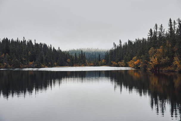 The Svartdal Stjerna Lake surrounded by trees during autumn in Totenaasen Hills, Oppland, Norway - Valokuva, kuva