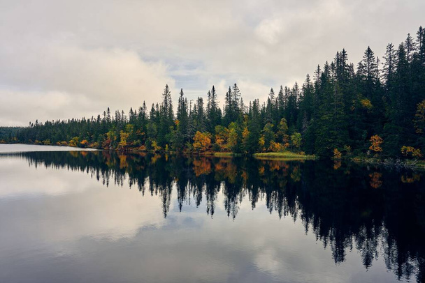 A beautiful scenery of the Svartdal Stjerna Lake with autumn trees in Totenaasen Hills, Oppland, Norway - Foto, imagen