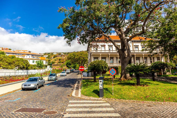 A beautiful view of cars on the street with trees and buildings in Madeira, Portugal with a blue sky - Фото, изображение
