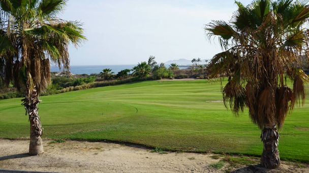 Golf Course in San Jose del Cabo, Baja California Sur, Mexico - Фото, зображення