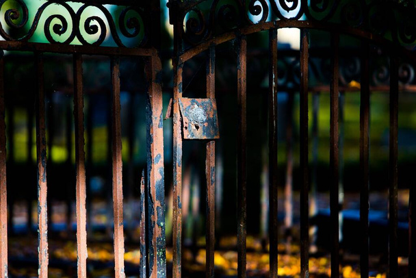 A closeup shot of a rusty fence in the park - Photo, image