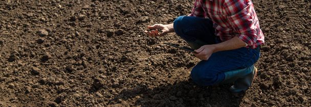 Male farmer in the field checks the soil. Selective focus. Nature. - Фото, изображение