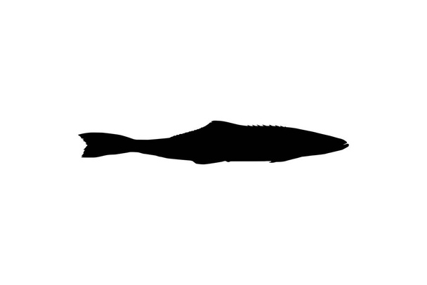 Cobia Fish Silhouette, noto anche come martin pescatore nero, salmone nero, ling, limonfish, granchio, figliol prodigo, merluzzo e bonito nero. Illustrazione vettoriale - Vettoriali, immagini
