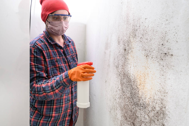 A woman sprays a mold remedy on a wall, removing mold at home, a woman in glasses, a mask and rubber gloves, protective equipment. - Photo, Image