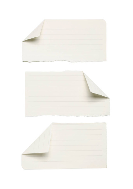 Letépett papírlapok fehér alapon elszigetelt darabjai - Fotó, kép