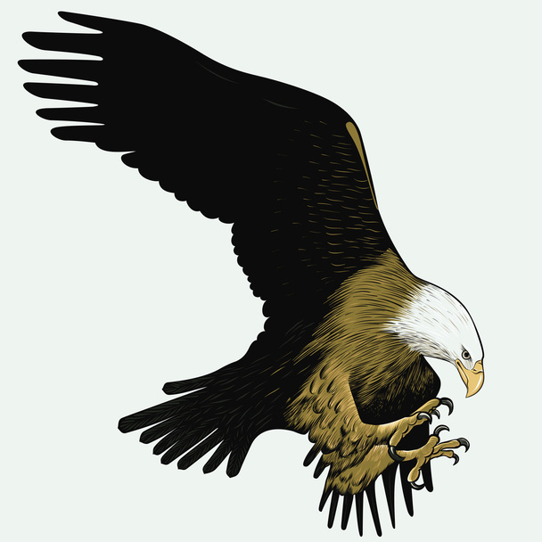 Águila calva
 - Vector, imagen