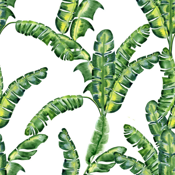 Banana leaves seamless watercolor pattern. Endless tropical hand drawn green background for wallpaper and fabric. Exotic forest and plantation. - Фото, зображення