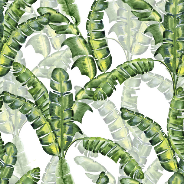 Banana leaves seamless watercolor pattern. Endless tropical hand drawn green background for wallpaper and fabric. Exotic forest and plantation. - Фото, зображення