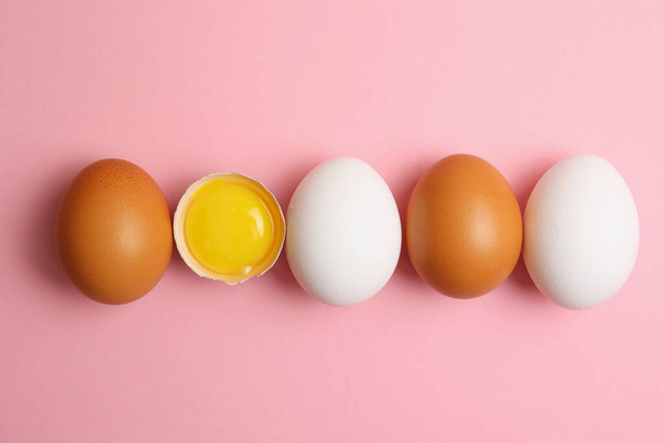 fresh farm eggs on a colored background. High quality photo - Fotoğraf, Görsel