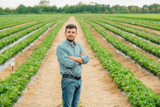Jonge mooie boer kijkt naar camera op landbouwgrond met gekruiste armen en aardbeienteelt op de achtergrond. jong mannelijk portret op landbouwgrond. - Foto, afbeelding