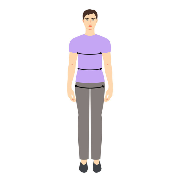 Men to do bust, waist, hips measurement body, arrows fashion Illustration for size chart. Flat male character front 8 head size boy in purple shirt. Human gentlemen infographic template for clothes - Vector, Image