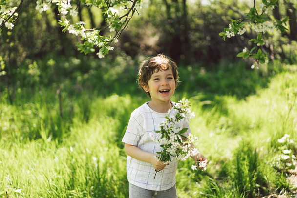 Щасливий маленький хлопчик, що ходить у весняному саду. Дитина грає з гілкою вишневого дерева і розважається. Малюк досліджує природу. Малюк розважається. Весняна активність для допитливих дітей
. - Фото, зображення