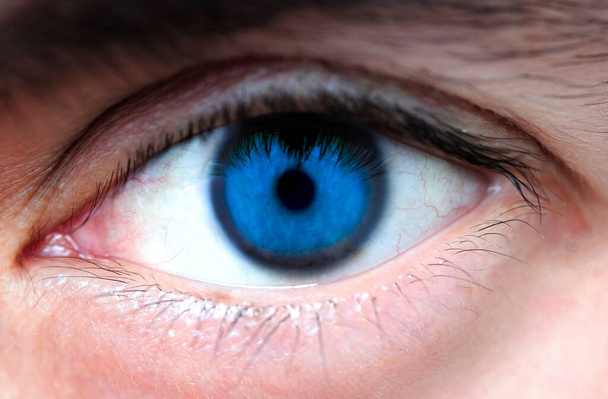 Close-up of the human perfect blue eyes for perfect vision.Health concept - Foto, Imagen