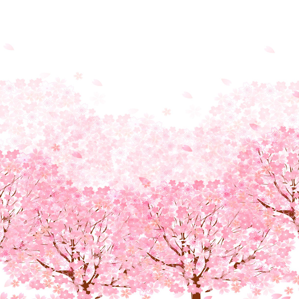 Цветочный фон вишни
 - Вектор,изображение