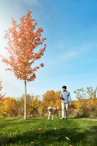 Mit einem Hund ist das Leben einfach besser. ein junger Mann spaziert mit seinem Hund durch den Park - Foto, Bild