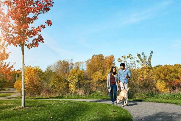 Rien ne vaut une promenade avec notre enfant à quatre pattes. un jeune couple aimant prenant leur chien pour une promenade dans le parc - Photo, image