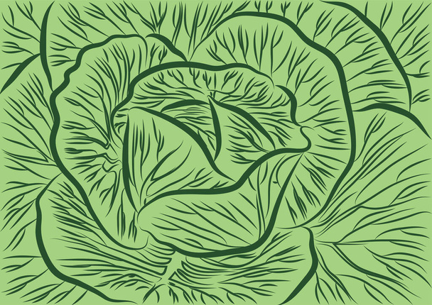 The green cabbage leaves pattern. Digital backdrop. - ベクター画像