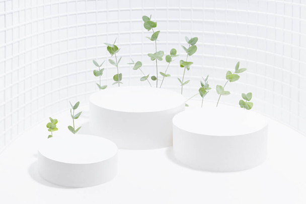 Summer white abstract stage as curved alcove with three cylinder podiums mockup, natural fresh tiny eucalyptus twigs in bright sunlight, mosaic wall for presentation cosmetic products, goods, design. - Foto, Imagem