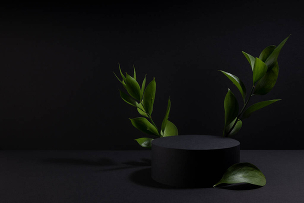Black abstract stage with one cylinder podium mockup, decor of fresh green tropical leaves in hard light, shadows, template for presentation cosmetic products, goods, design in elegant luxury style. - Photo, image