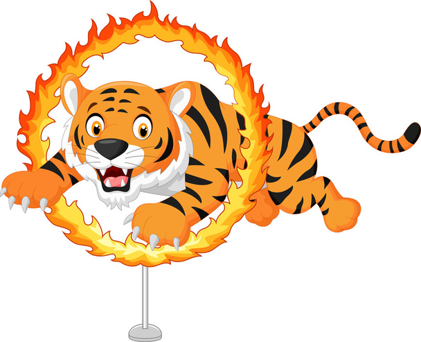 Cartoon tigre salta attraverso anello di fuoco
 - Vettoriali, immagini