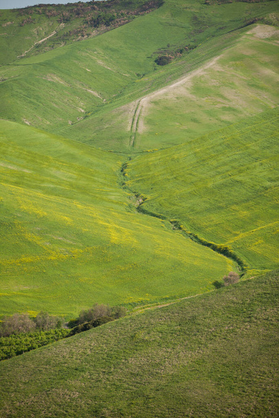 met lentebloemen bebouwde grond, in het voorjaar bebouwde landbouwgrond - Foto, afbeelding