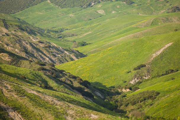 kevätkukilla viljellyt vuoret, keväällä viljellyt maatalousmaat - Valokuva, kuva