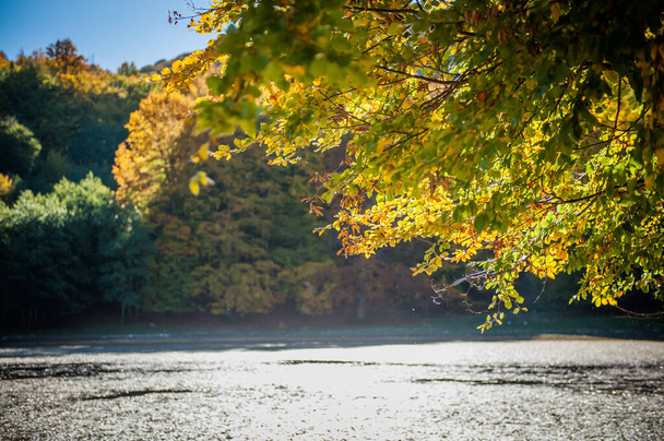 紅葉の秋の森と湖、紅葉の秋の山谷と湖と森 - 写真・画像