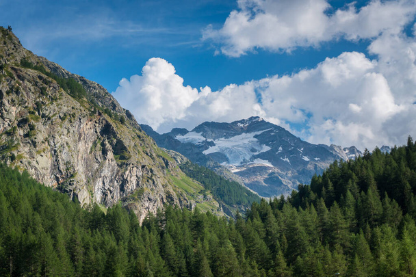 Valli alpine con vista sulle cime e ghiacciai e pascoli - Foto, immagini