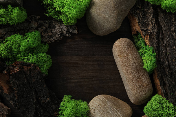 Moss, space for text, concept of different backgrounds - Фото, изображение