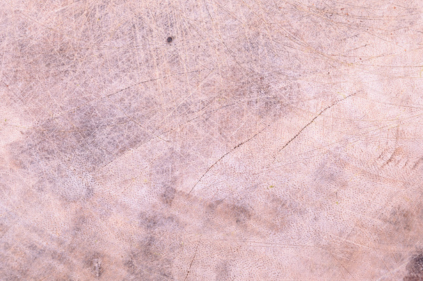 Wood texture - Photo, Image