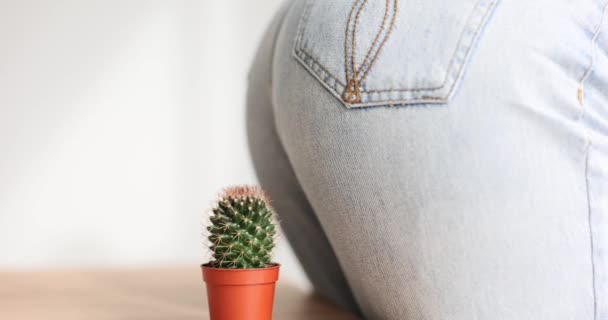 Woman sits down on green spiked cactus growing in brown pot on wooden table. Lady in light jeans explores decorative spiked plant for home interior - Footage, Video