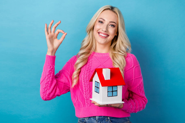 Portrait of cheerful satisfied woman curly hairstyle wear knit pullover hold small house showing okey isolated on blue color background. - Foto, immagini