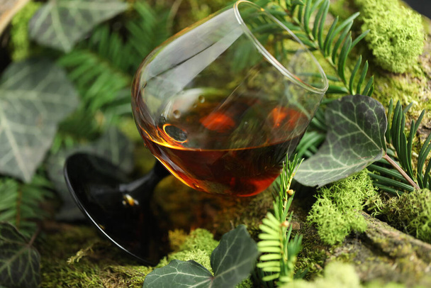 glass of whiskey drink on the green forest background with moss - 写真・画像