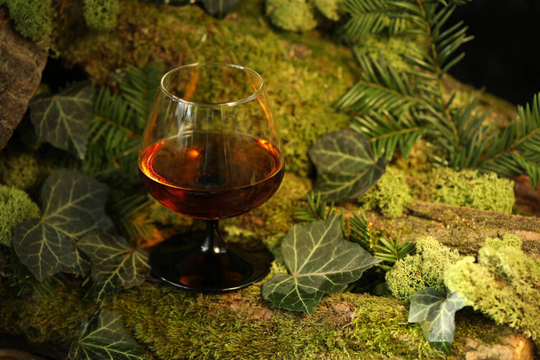 glass of whiskey drink on the green forest background with moss - Foto, afbeelding