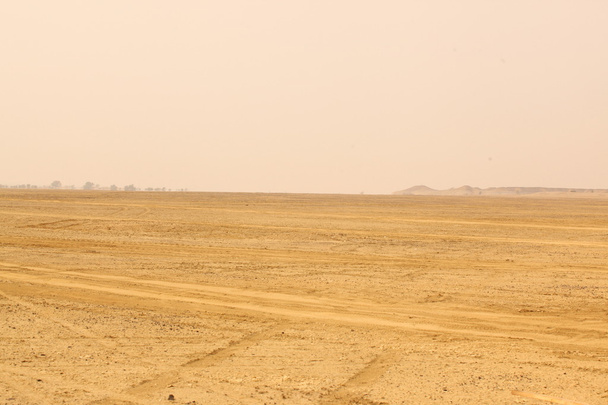 Desert Landscape in India - Photo, Image
