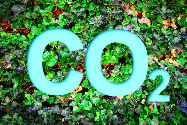 CO 2, sign on green leaves. Emission reduction. Low level of greenhouse gases. Ecology. Background. - Foto, afbeelding