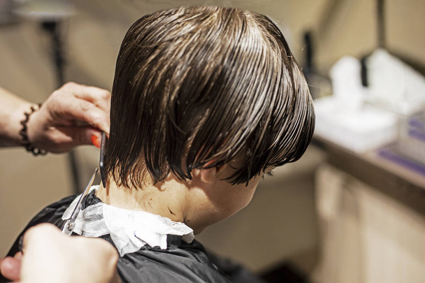 barbershop cuts the tips of wet clean hair at the back of the head with scissors - Photo, Image