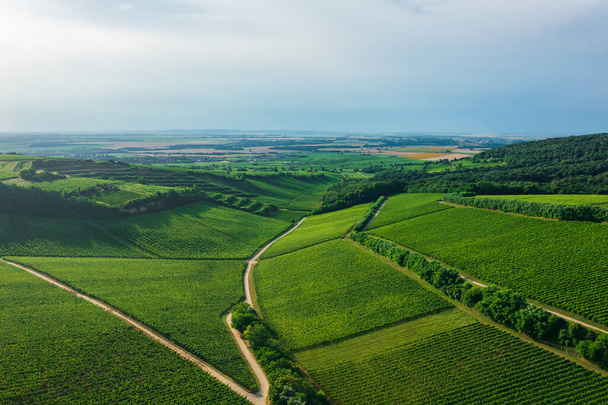 Vista aérea de los famosos viñedos de Hungría en la región vinícola de Villany. Nombre húngaro es Ordogarok. - Foto, Imagen