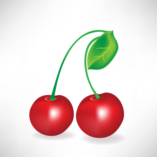 cherrys - Vector, Image