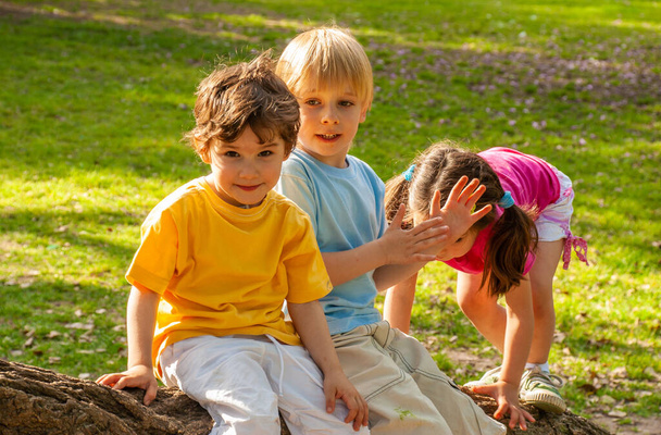 Children playing in the park - Fotografie, Obrázek