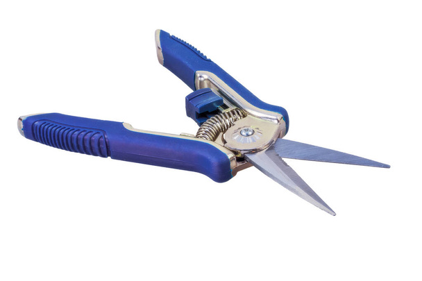 Closeup of an Isolated garden pruner with a blue handle - Photo, Image