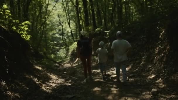Turistas trabajo en equipo, familia feliz senderismo en la escalada del bosque. Creativo. Vista trasera de una madre con niños caminando por las selvas - Metraje, vídeo