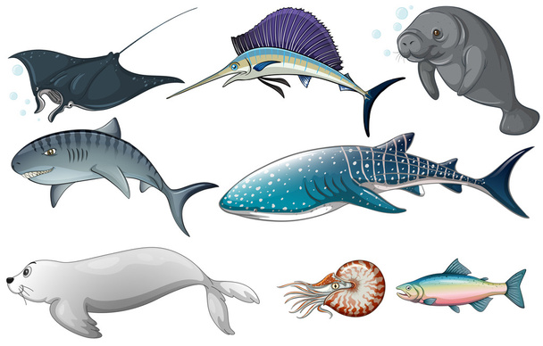okyanus hayvanlar - Vektör, Görsel