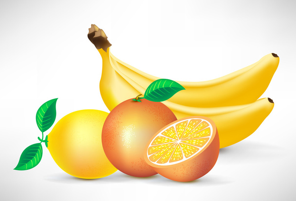 grupo de plátanos, naranjas y limón
 - Vector, imagen
