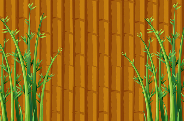 bambu - Vetor, Imagem