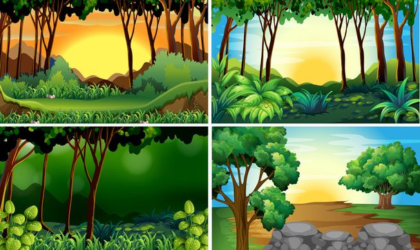 Forest scenes - Vector, Image