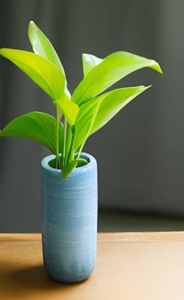 A fresh plant in a pot with bright green leaves placed on the table in the living room - Foto, Bild
