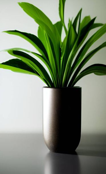 A fresh plant in a pot with bright green leaves placed on the table in the living room - Foto, immagini